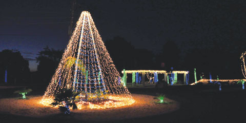 cayman brac christmas tree